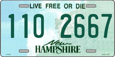 NH license plate 1102667