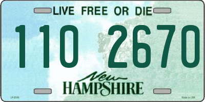 NH license plate 1102670