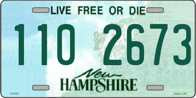 NH license plate 1102673