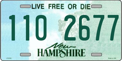 NH license plate 1102677