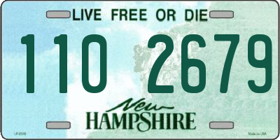 NH license plate 1102679