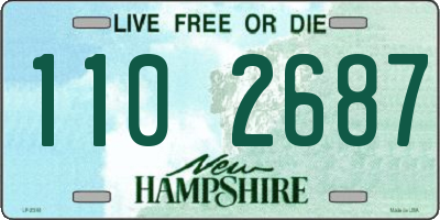 NH license plate 1102687