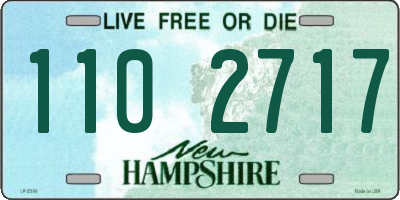 NH license plate 1102717
