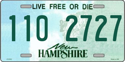 NH license plate 1102727
