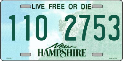 NH license plate 1102753