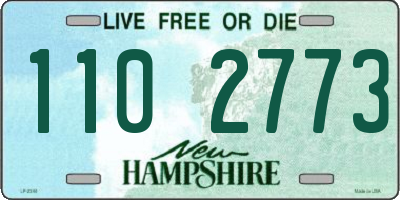 NH license plate 1102773