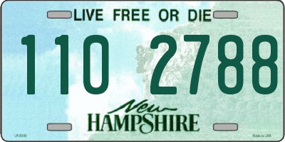 NH license plate 1102788
