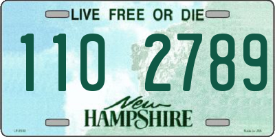 NH license plate 1102789