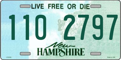 NH license plate 1102797