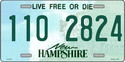 NH license plate 1102824