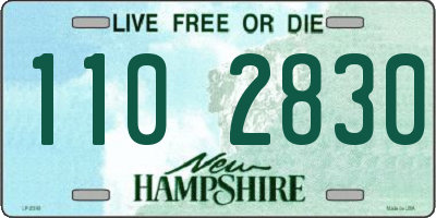 NH license plate 1102830