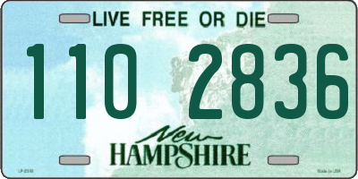 NH license plate 1102836