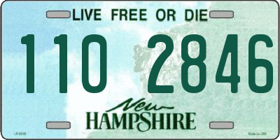 NH license plate 1102846