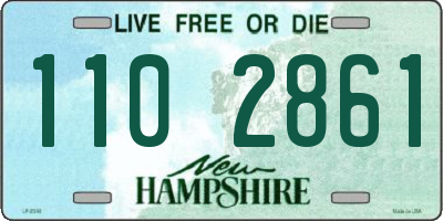 NH license plate 1102861