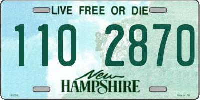 NH license plate 1102870
