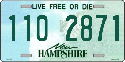 NH license plate 1102871