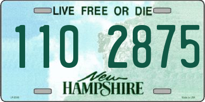 NH license plate 1102875