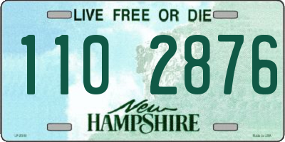 NH license plate 1102876