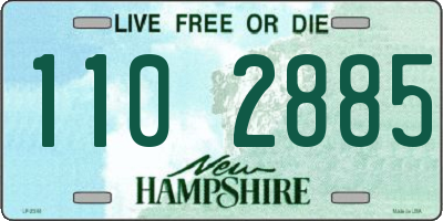 NH license plate 1102885