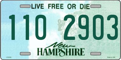 NH license plate 1102903