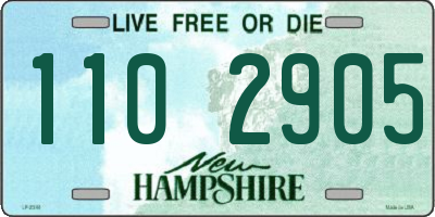 NH license plate 1102905