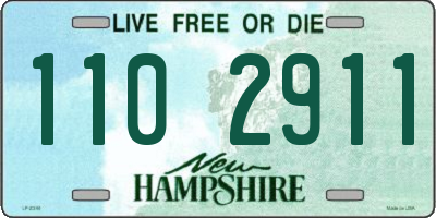 NH license plate 1102911
