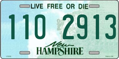 NH license plate 1102913