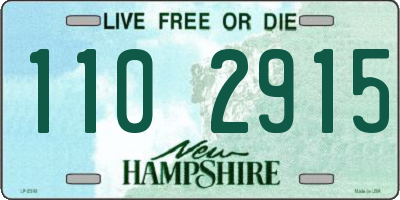 NH license plate 1102915