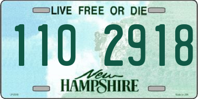 NH license plate 1102918