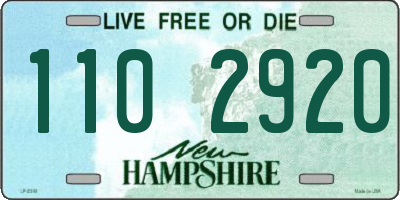 NH license plate 1102920