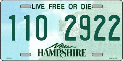 NH license plate 1102922