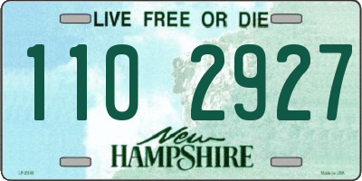 NH license plate 1102927