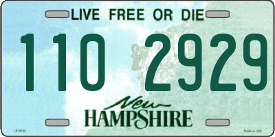 NH license plate 1102929