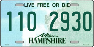 NH license plate 1102930