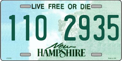 NH license plate 1102935