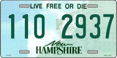 NH license plate 1102937