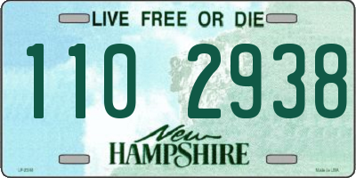 NH license plate 1102938