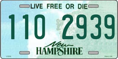 NH license plate 1102939