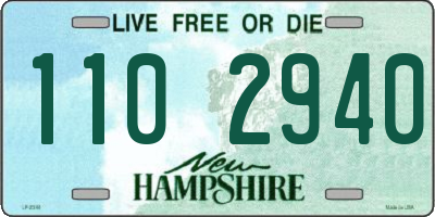 NH license plate 1102940