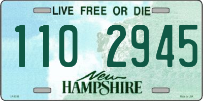 NH license plate 1102945
