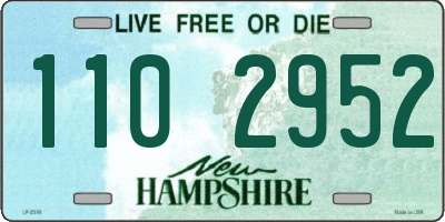 NH license plate 1102952
