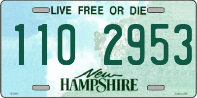 NH license plate 1102953