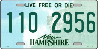 NH license plate 1102956