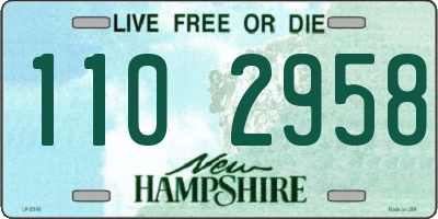 NH license plate 1102958