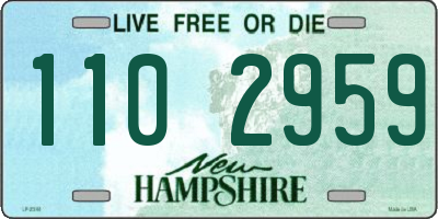 NH license plate 1102959