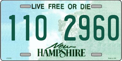 NH license plate 1102960