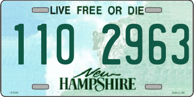 NH license plate 1102963