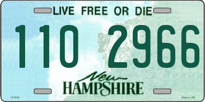 NH license plate 1102966