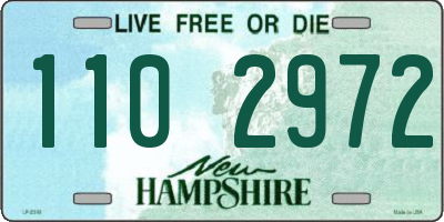 NH license plate 1102972