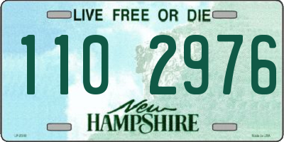 NH license plate 1102976
